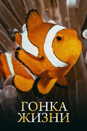 Гонка жизни (2015) онлайн